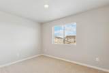 48175 Shetland Drive - Photo 17
