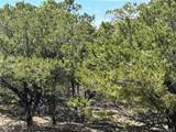 00103 Ute Drive - Photo 11