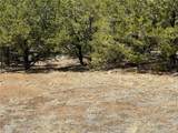 00103 Ute Drive - Photo 5