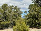 00103 Ute Drive - Photo 10