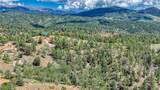 24 Wild Horse Circle - Photo 11
