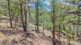 24 Wild Horse Circle - Photo 23