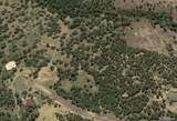 32778 Janelle Lane - Photo 12