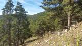 32778 Janelle Lane - Photo 3