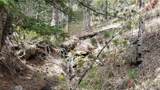 32778 Janelle Lane - Photo 4