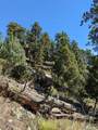 Land - Photo 11