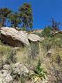  Land - Photo 13