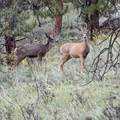  Land - Photo 21
