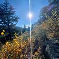  Land - Photo 5