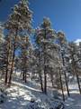  Land - Photo 6