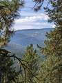  Land - Photo 7