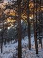  Land - Photo 9