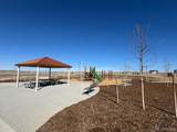 42984 Colonial Trail - Photo 15