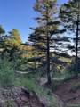 Lot 5693 Balleroy Road - Photo 12
