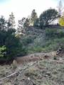 Lot 5693 Balleroy Road - Photo 14