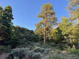 Lot 5693 Balleroy Road - Photo 15