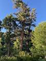Lot 5693 Balleroy Road - Photo 19