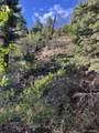 Lot 5693 Balleroy Road - Photo 5