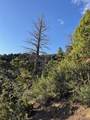 Lot 5693 Balleroy Road - Photo 8