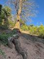 Lot 5693 Balleroy Road - Photo 9