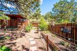 13851 Pine Valley Road - Photo 31