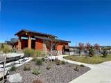 13998 Shasta Daisy Street - Photo 30