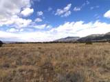 1603 Silver Spur Trail - Photo 4