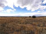 1603 Silver Spur Trail - Photo 5
