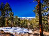 Upper Bear Creek Road - Photo 23