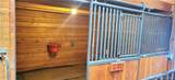 1321 Bristlecone Road - Photo 31