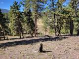 1321 Bristlecone Road - Photo 34