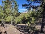 1321 Bristlecone Road - Photo 35