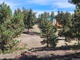 1321 Bristlecone Road - Photo 38
