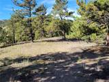 1321 Bristlecone Road - Photo 39