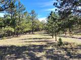 1321 Bristlecone Road - Photo 40