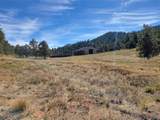 1321 Bristlecone Road - Photo 44
