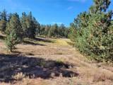 1321 Bristlecone Road - Photo 45