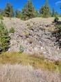 1321 Bristlecone Road - Photo 47