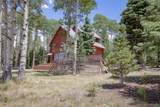 2842 Wendt Lane - Photo 40