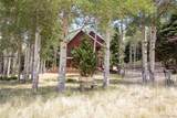2842 Wendt Lane - Photo 41