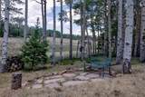 2842 Wendt Lane - Photo 44