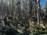 Lot 2652 Petito Drive - Photo 12
