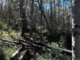 Lot 2652 Petito Drive - Photo 13