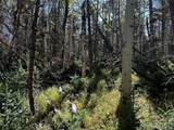Lot 2652 Petito Drive - Photo 16