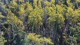 Lot 2652 Petito Drive - Photo 17