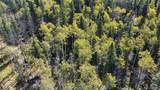 Lot 2652 Petito Drive - Photo 18