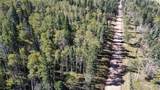 Lot 2652 Petito Drive - Photo 19