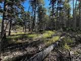 Lot 2652 Petito Drive - Photo 3
