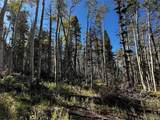 Lot 2652 Petito Drive - Photo 6