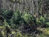 Lot 2652 Petito Drive - Photo 8